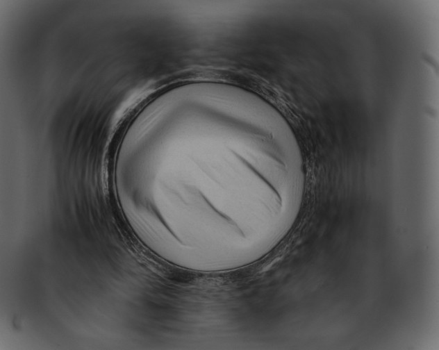 X0000091920294200710031045
