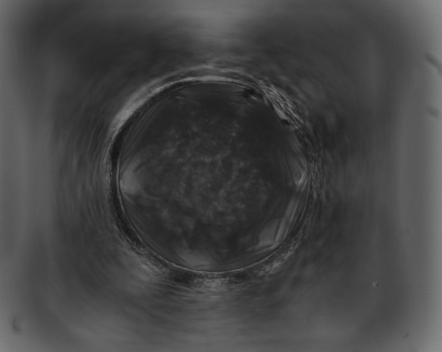 X0000091920295200710031045