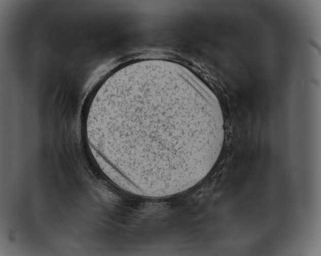 X0000091920296200710031045