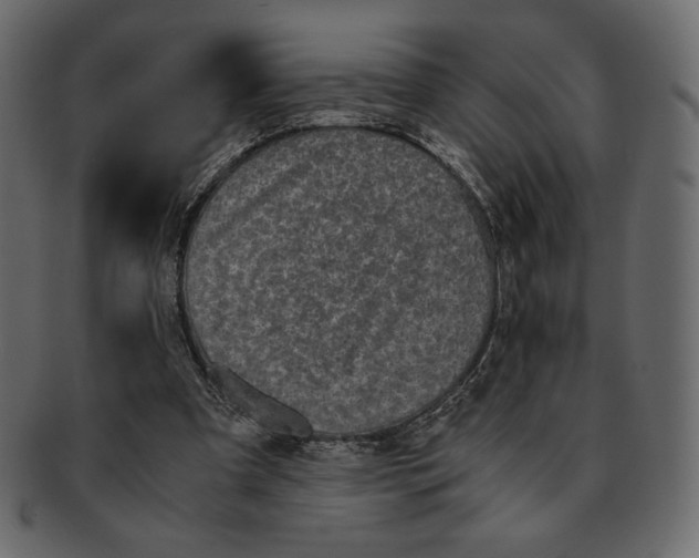X0000091920297200710031045