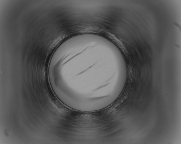 X0000091920298200710031045