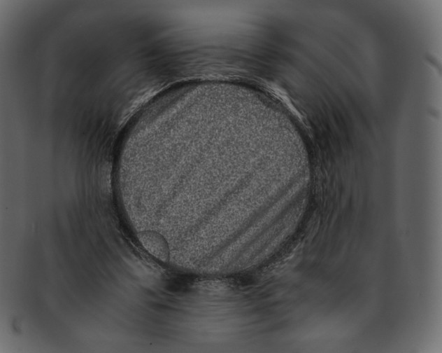 X0000091920299200710031045