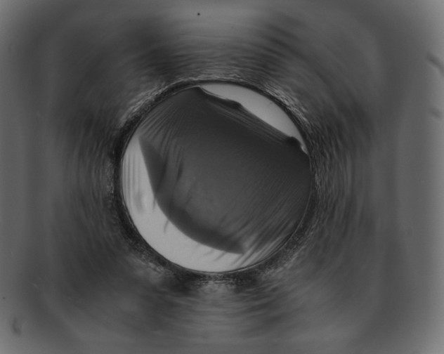X0000091920303200710031044