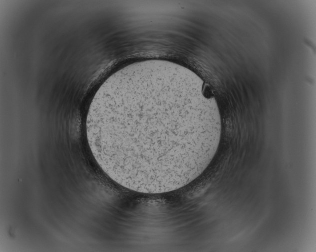 X0000091920304200710031044