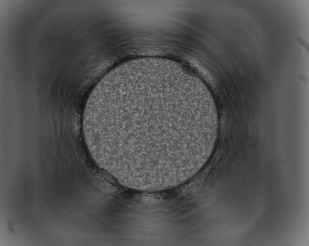 X0000091920305200710031044