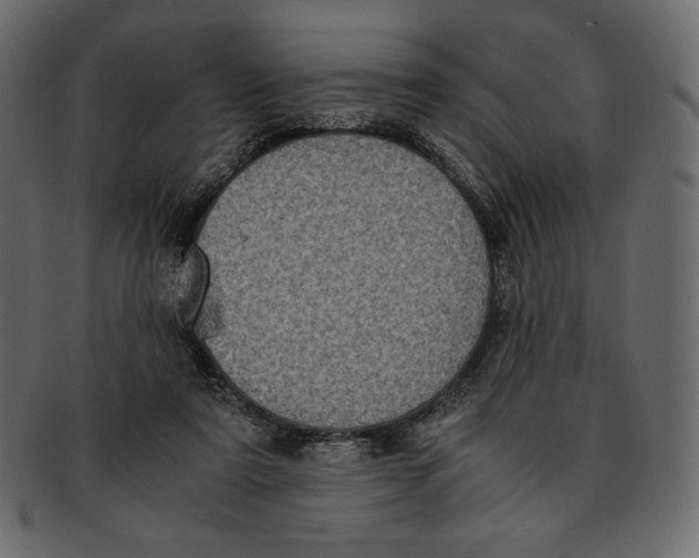 X0000091920307200710031044