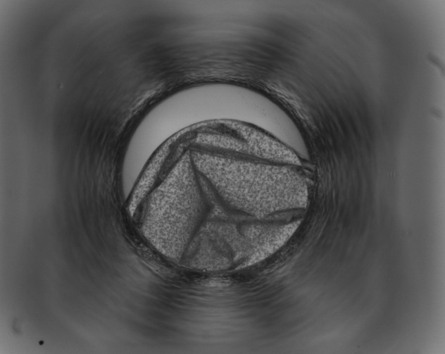X0000091920308200710031044