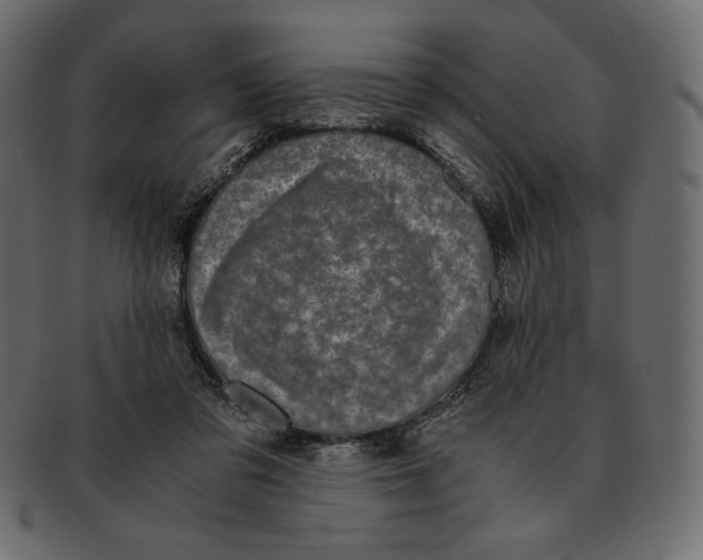 X0000091920309200710031044