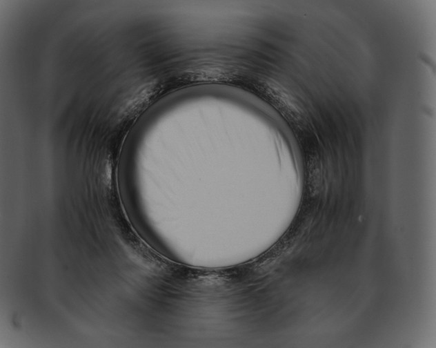 X0000091920310200710031044