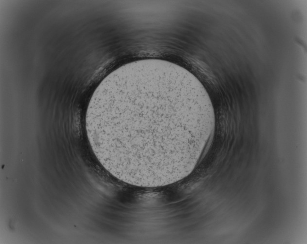 X0000091920312200710031044