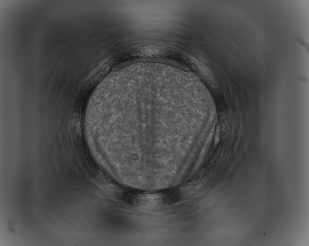 X0000091920313200710031044