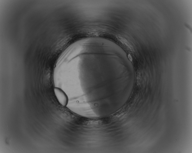 X0000091920314200710031044