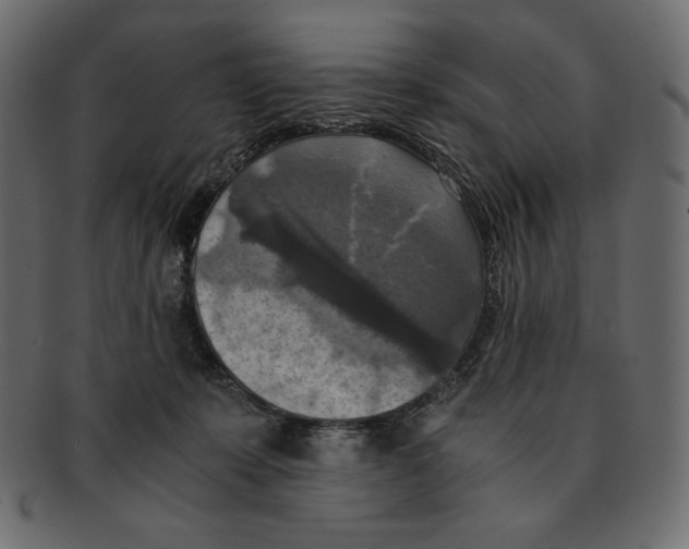 X0000091920319200710031044