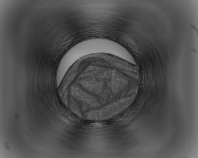 X0000091920320200710031044