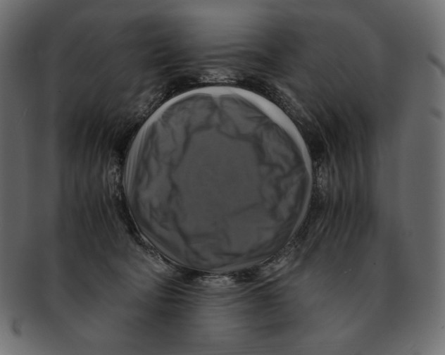 X0000091920322200710031044