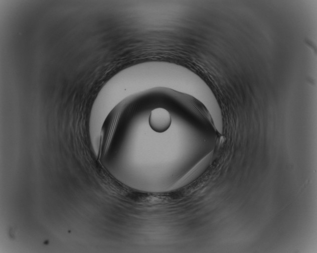 X0000091920323200710031044