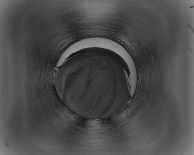 X0000091920325200710031044