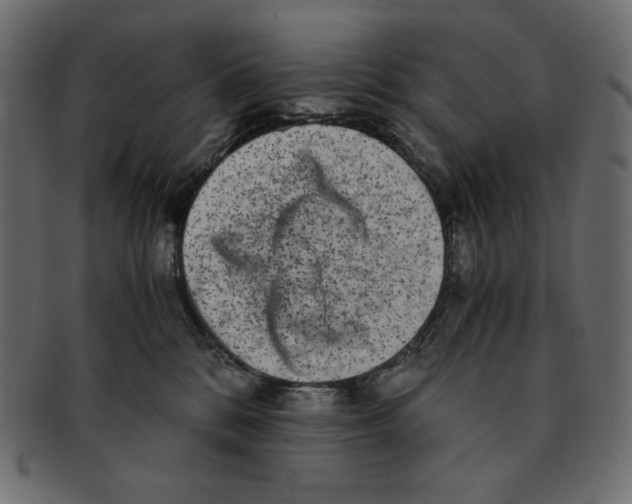 X0000091920328200710031044