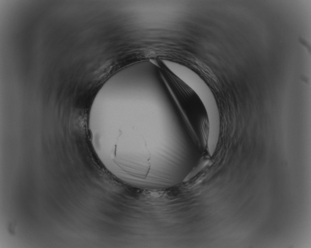 X0000091920329200710031044