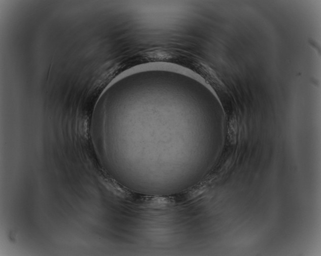 X0000091920330200710031044