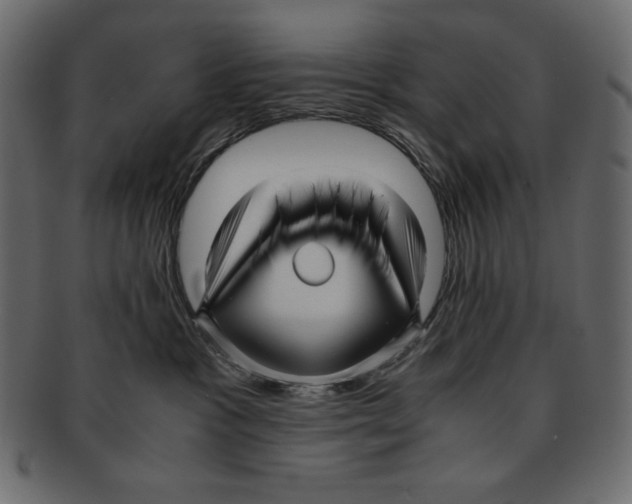 X0000091920333200710031044