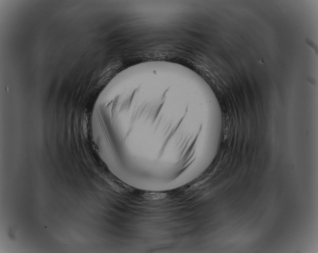 X0000091920334200710031044
