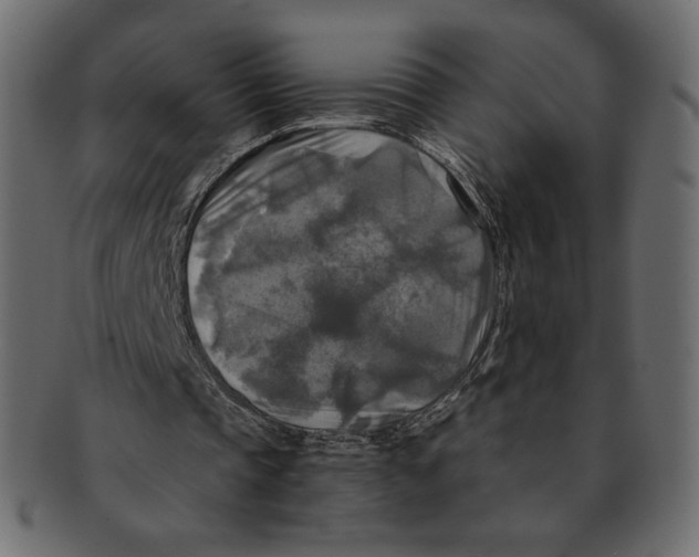 X0000091920337200710031043