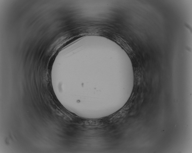 X0000091920338200710031043