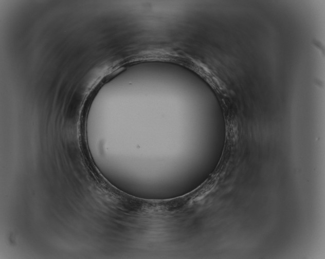 X0000091920340200710031043