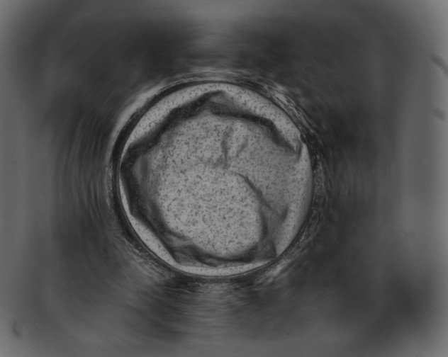 X0000091920342200710031043