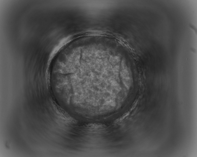 X0000091920343200710031043