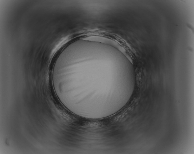 X0000091920344200710031043