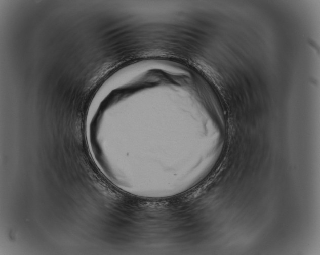 X0000091920345200710031044