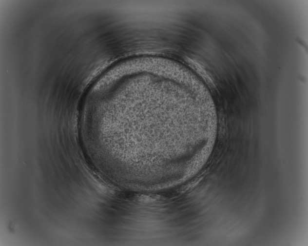X0000091920346200710031044
