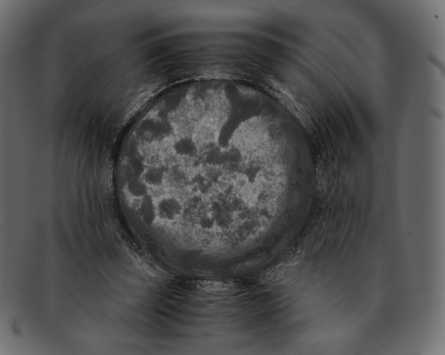 X0000091920347200710031044