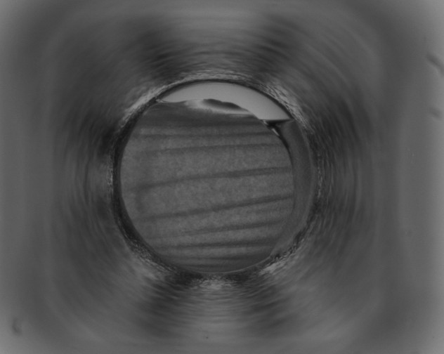 X0000091920348200710031044