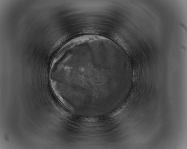 X0000091920349200710031044