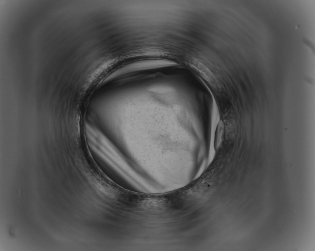 X0000091920350200710031044