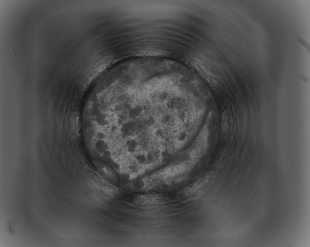 X0000091920351200710031044