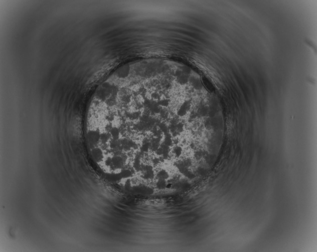 X0000091920353200710031044