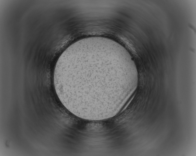 X0000091920354200710031044