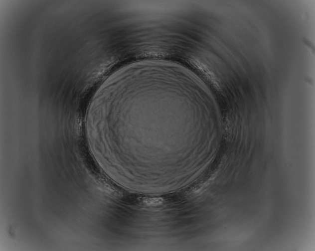 X0000091920355200710031044