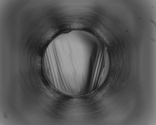 X0000091920356200710031044