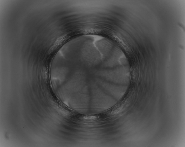 X0000091920357200710031044