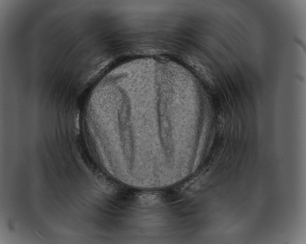 X0000091920358200710031044