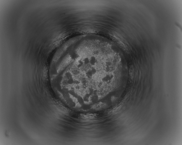 X0000091920359200710031044