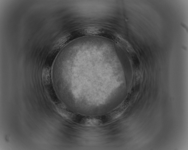 X0000091920360200710031044