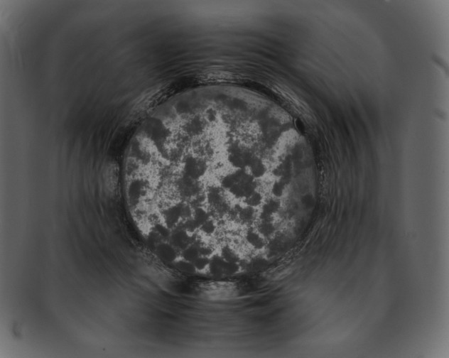 X0000091920361200710031044