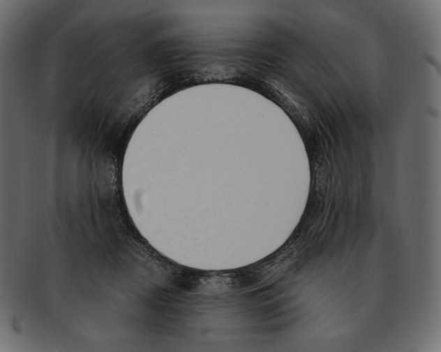 X0000091920362200710031044