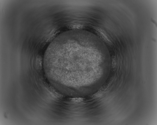 X0000091920363200710031044